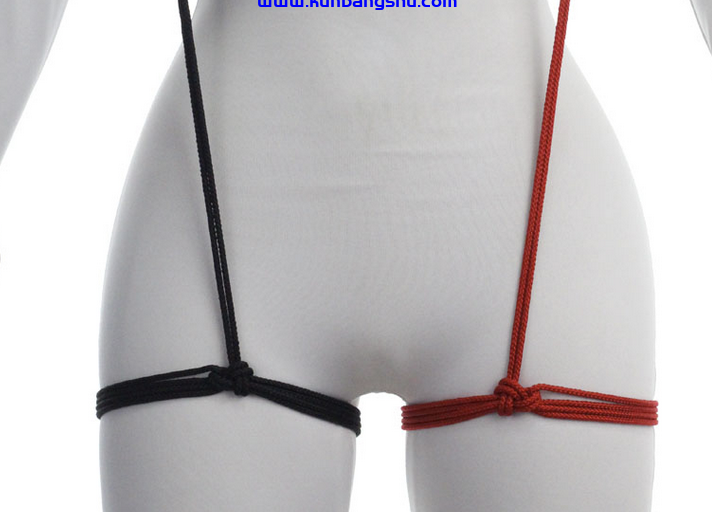 吊袜带 Suspenders & Garters【10P+1V】